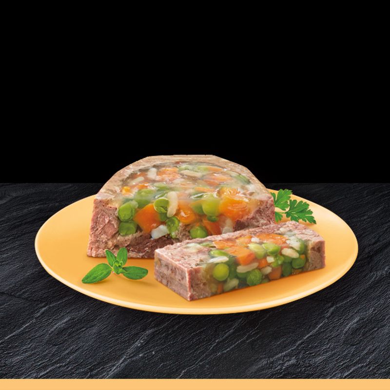 Cesar Schale 14 x 150 g