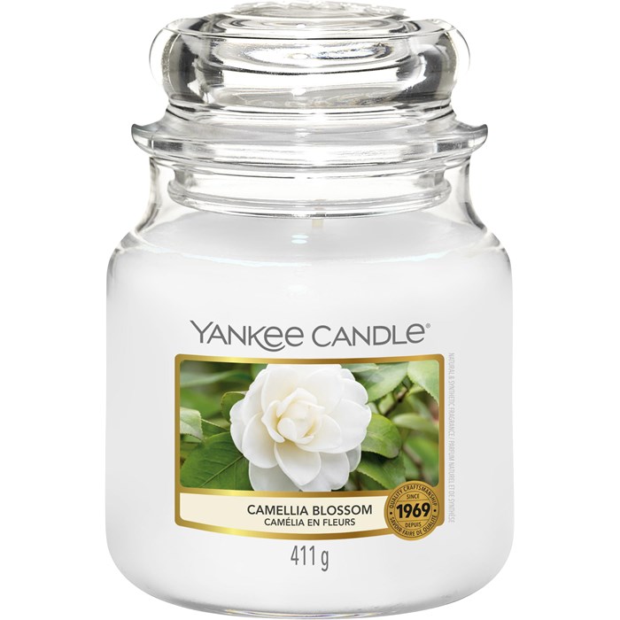 Camellia Blossom