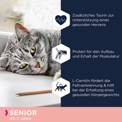 Sparpaket Eukanuba Senior Getreidefrei 24 x 85 g