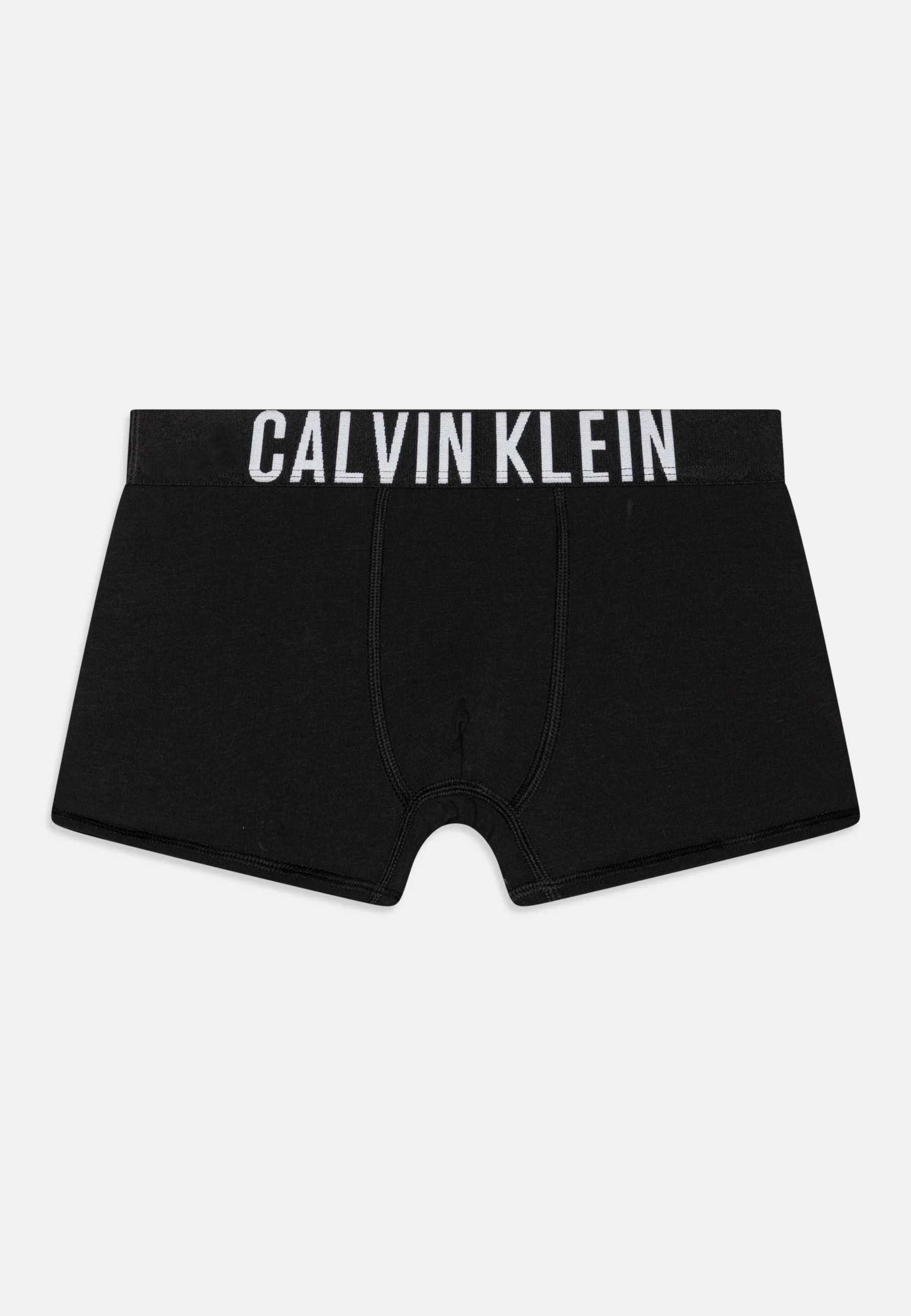 Calvin Klein Underwear TRUNK PACK DE 2 - Culotte