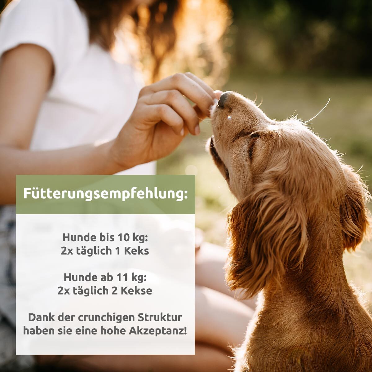 Aniforte Ergänzungsfutter & Aufzucht Aniforte Hanfkekse 200g