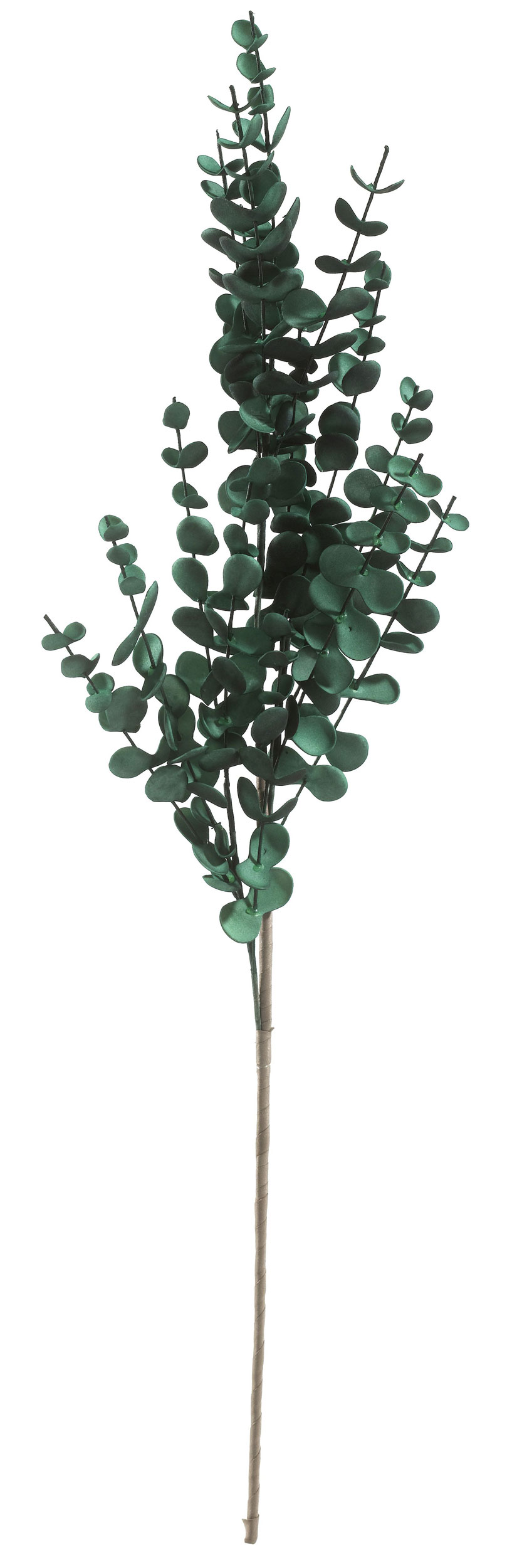 casa NOVAcasaNOVA Deko-Zweig 74cm