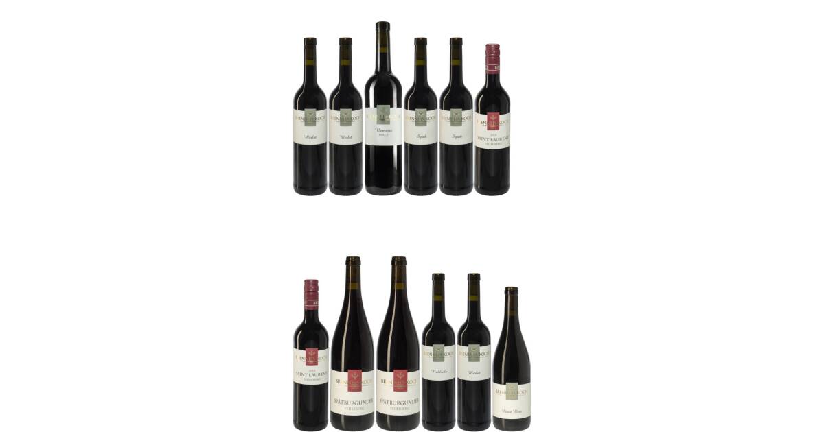 H3: Intensivprogramm für den Rotwein-Enthusiasten von Weingut Brenneis-Koch günstig bei wein.de kaufen