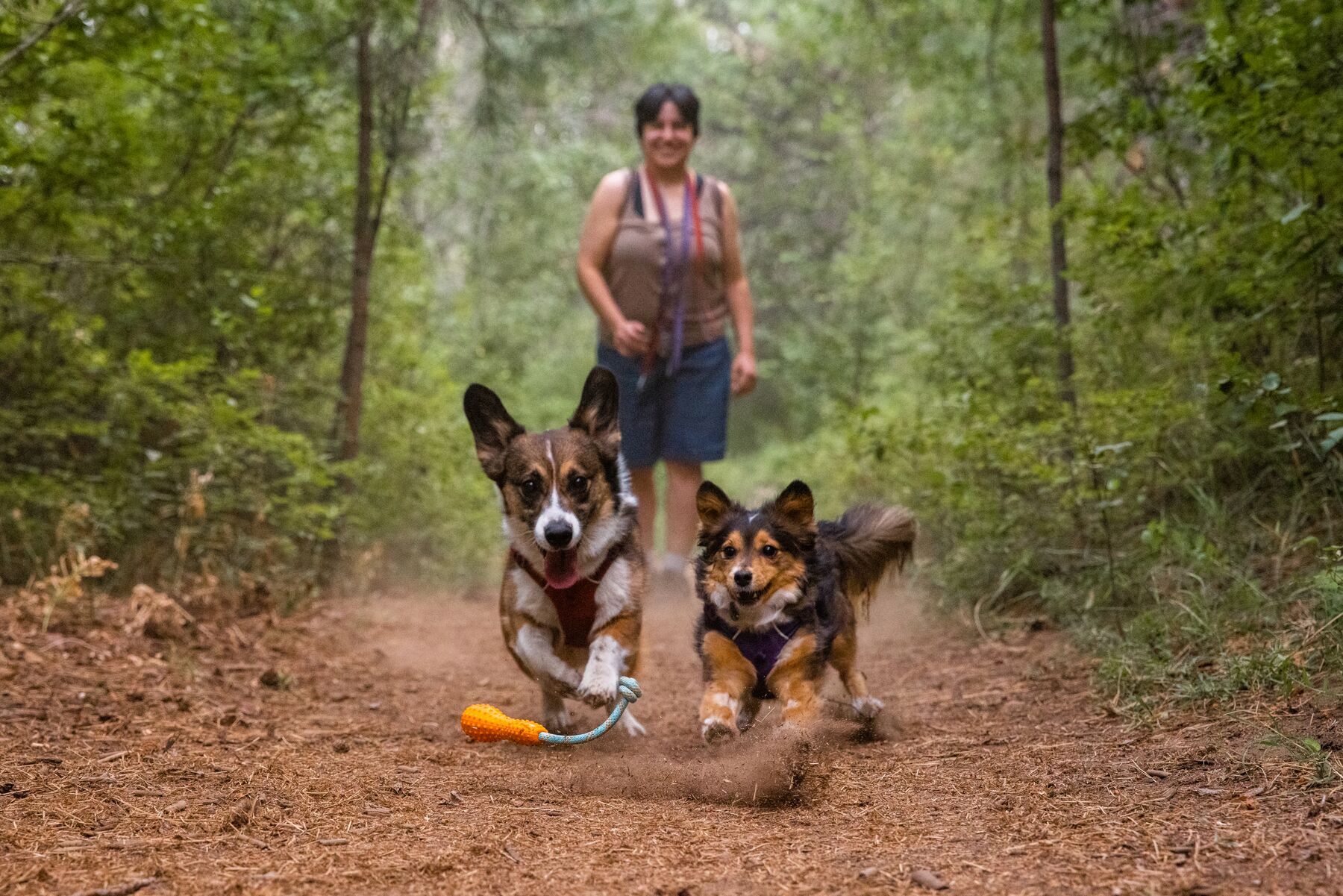 Ruffwear Frisbees & Wurfspielzeug Ruffwear Gourdo™ Spielzeug L orange
