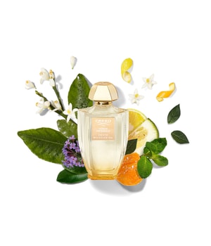 Creed Acqua Originale Zeste Mandarine Eau de Parfum-100 ml