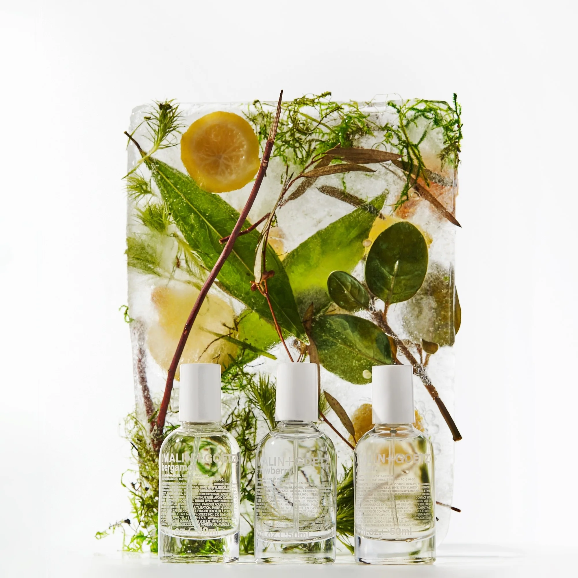 Fragrance Vetiver eau de parfum - Eau de Parfum Unisex, Eau de Parfum