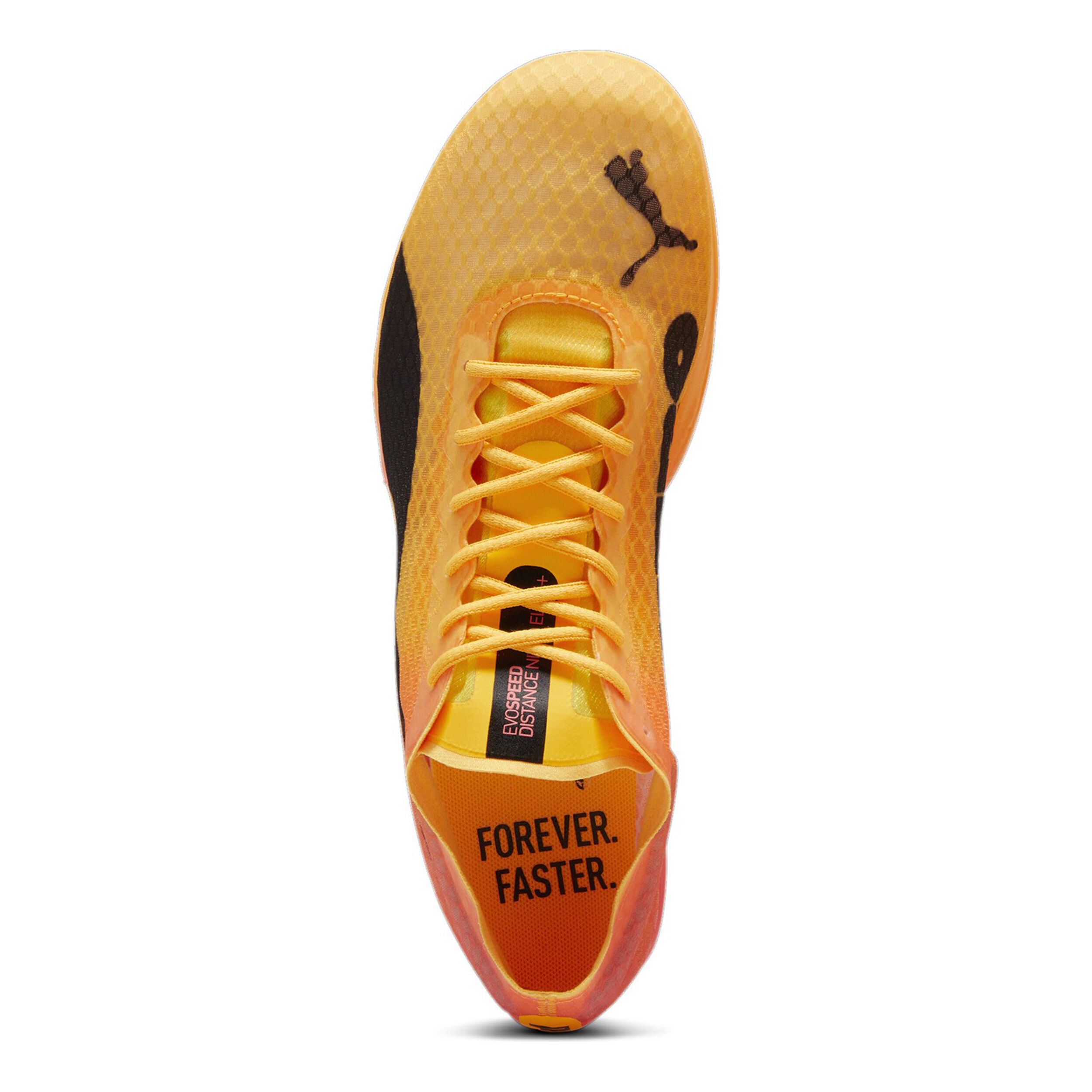 EvoSPEED Distance Nitro Elite+ 4 Spikeschuh - Orange, Schwarz