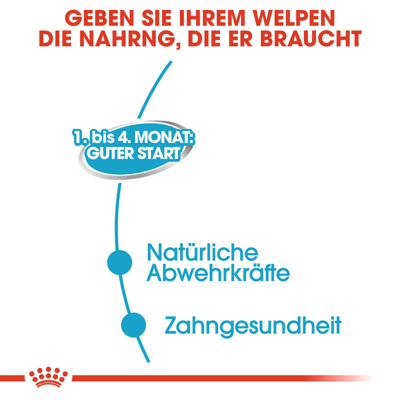 ROYAL CANIN Hundenassfutter ROYAL CANIN Starter Mousse 12x195g