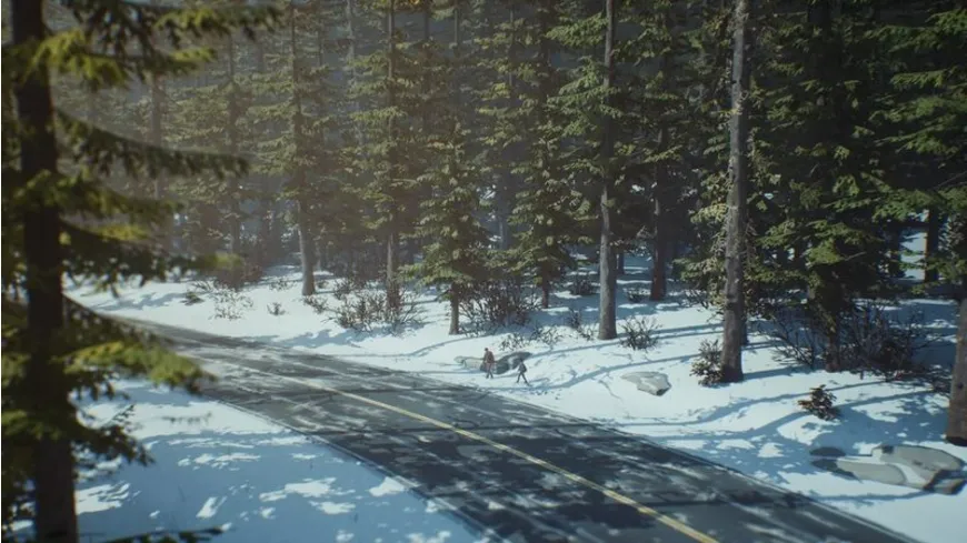 Life is Strange 2