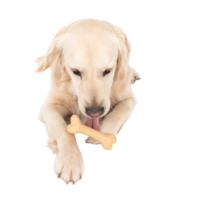 TIAKI Gummiknochen Hundespielzeug