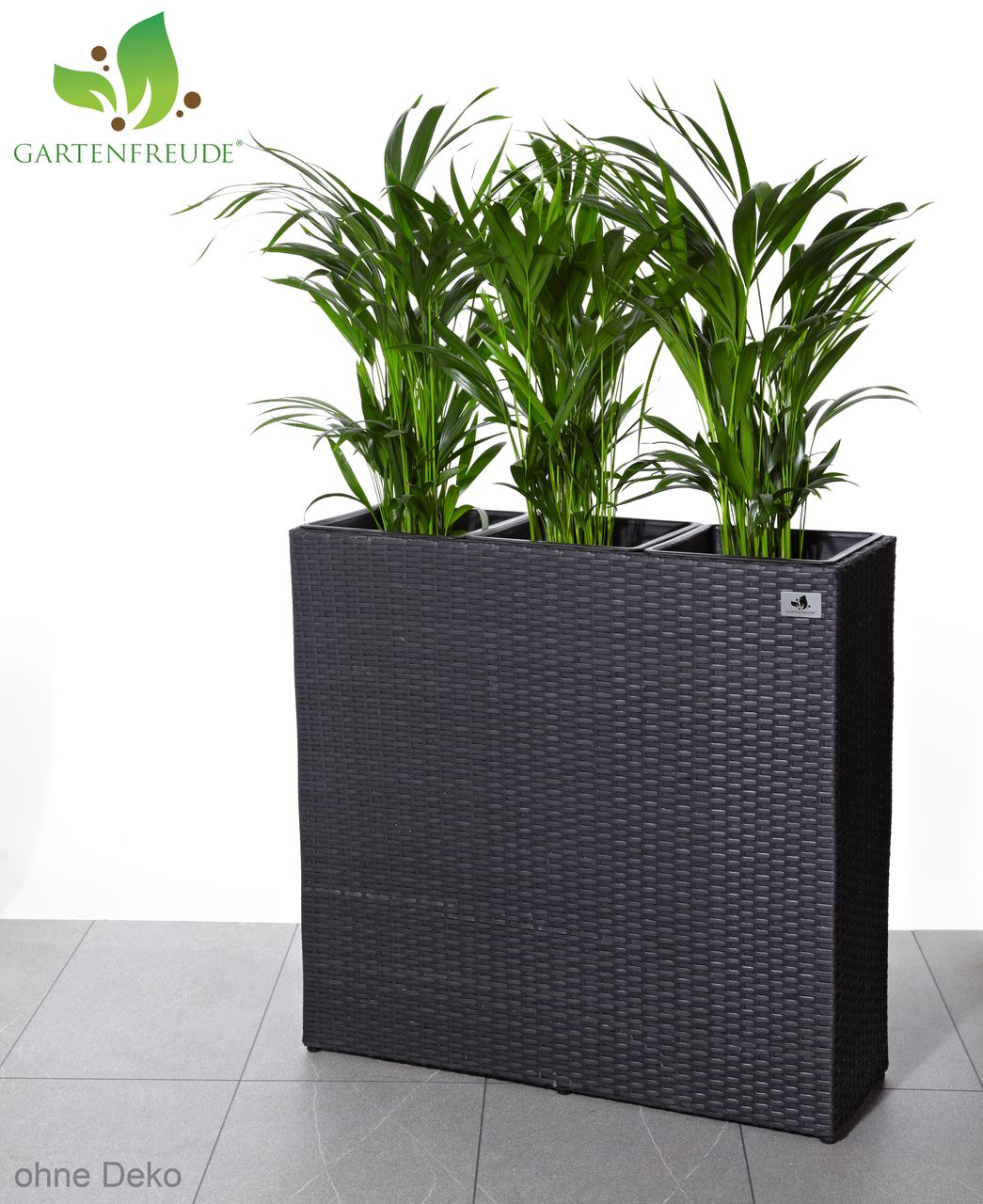 Weles Raumteiler Pflanzkübel Polyrattan 76x26x73cm, anthrazit, 3x Kunststoff-Einsätze