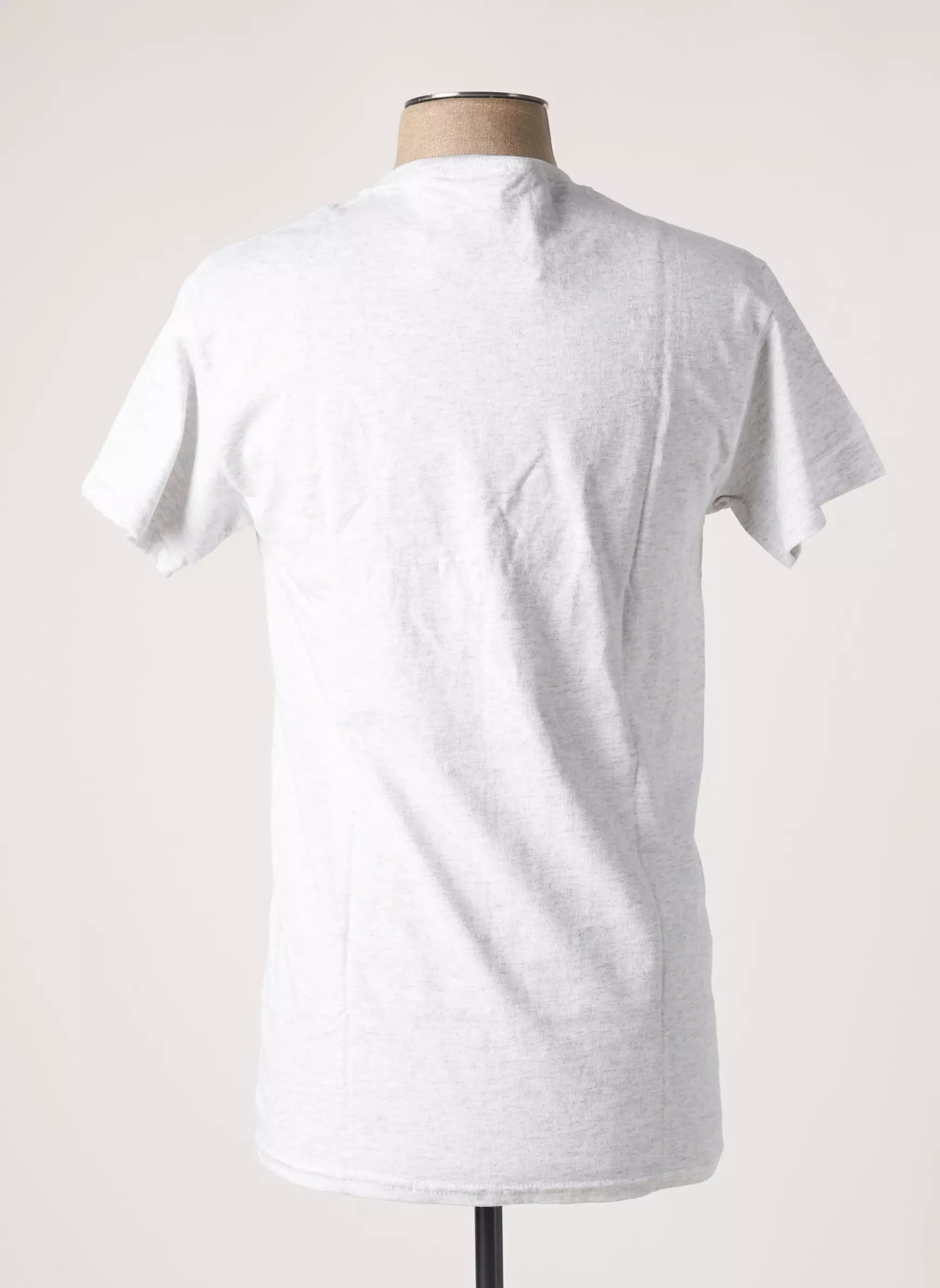 Rave Skateboards Tshirts Homme couleur gris