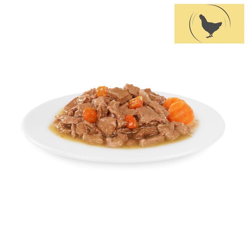 Sparpaket Briantos Chunks in Gravy 48 x 100 g