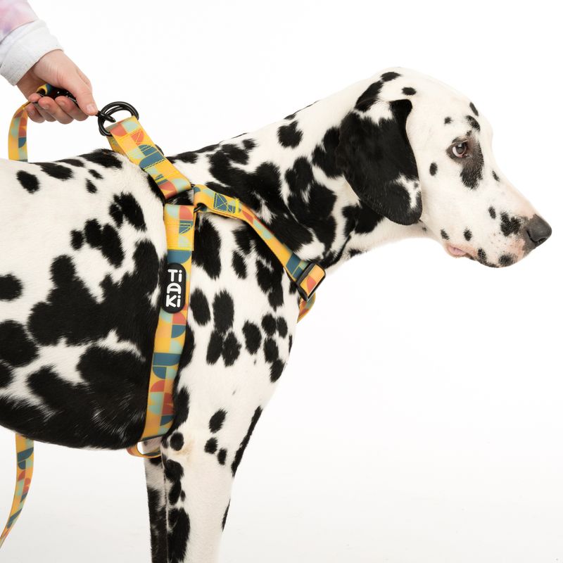 TIAKI Geschirr Easy Care zu TOP-Preisen