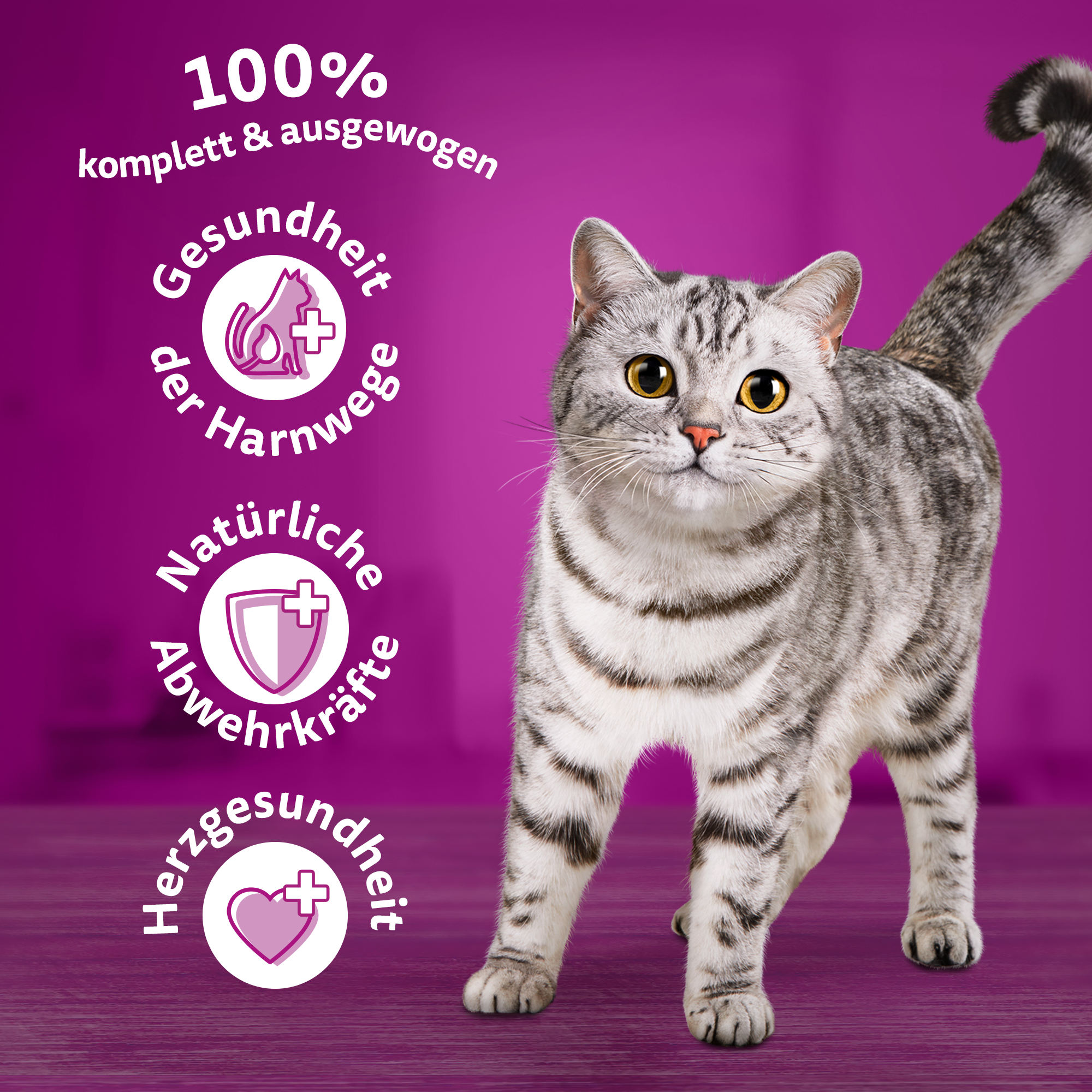 Whiskas Trockenfutter Whiskas Senior 7+ 1,9 kg