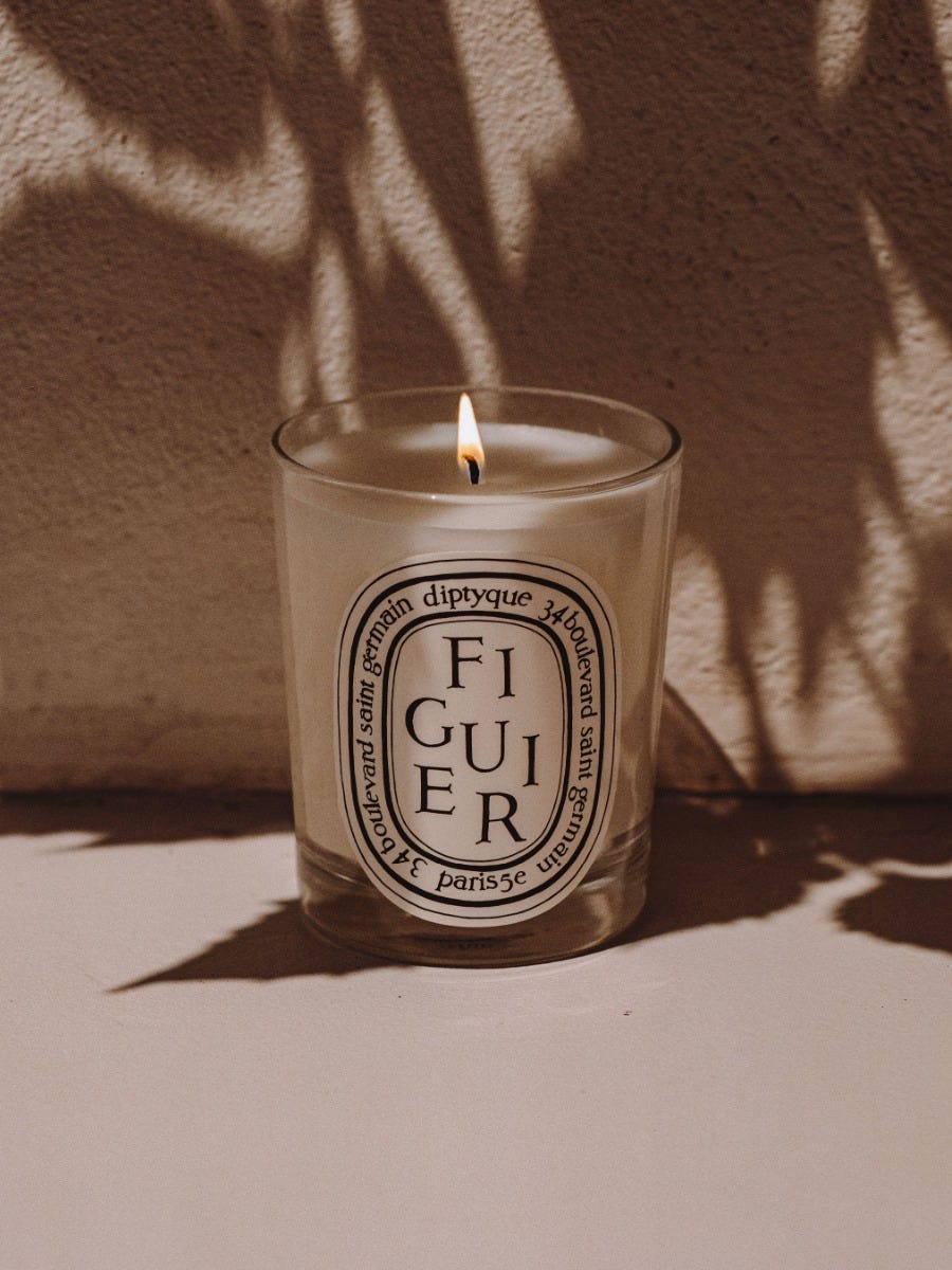 Figuier - Bougie modèle classique