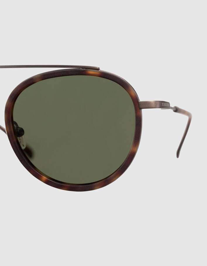 Lunettes solaires écailles style pantos Homme
