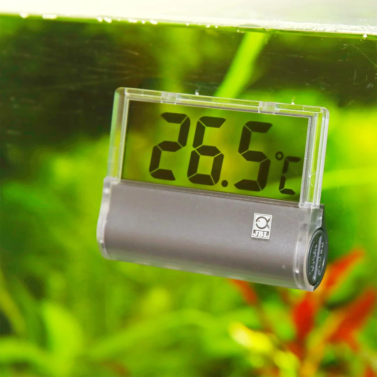 JBL Aquarium Thermometer DigiScan günstig kaufen