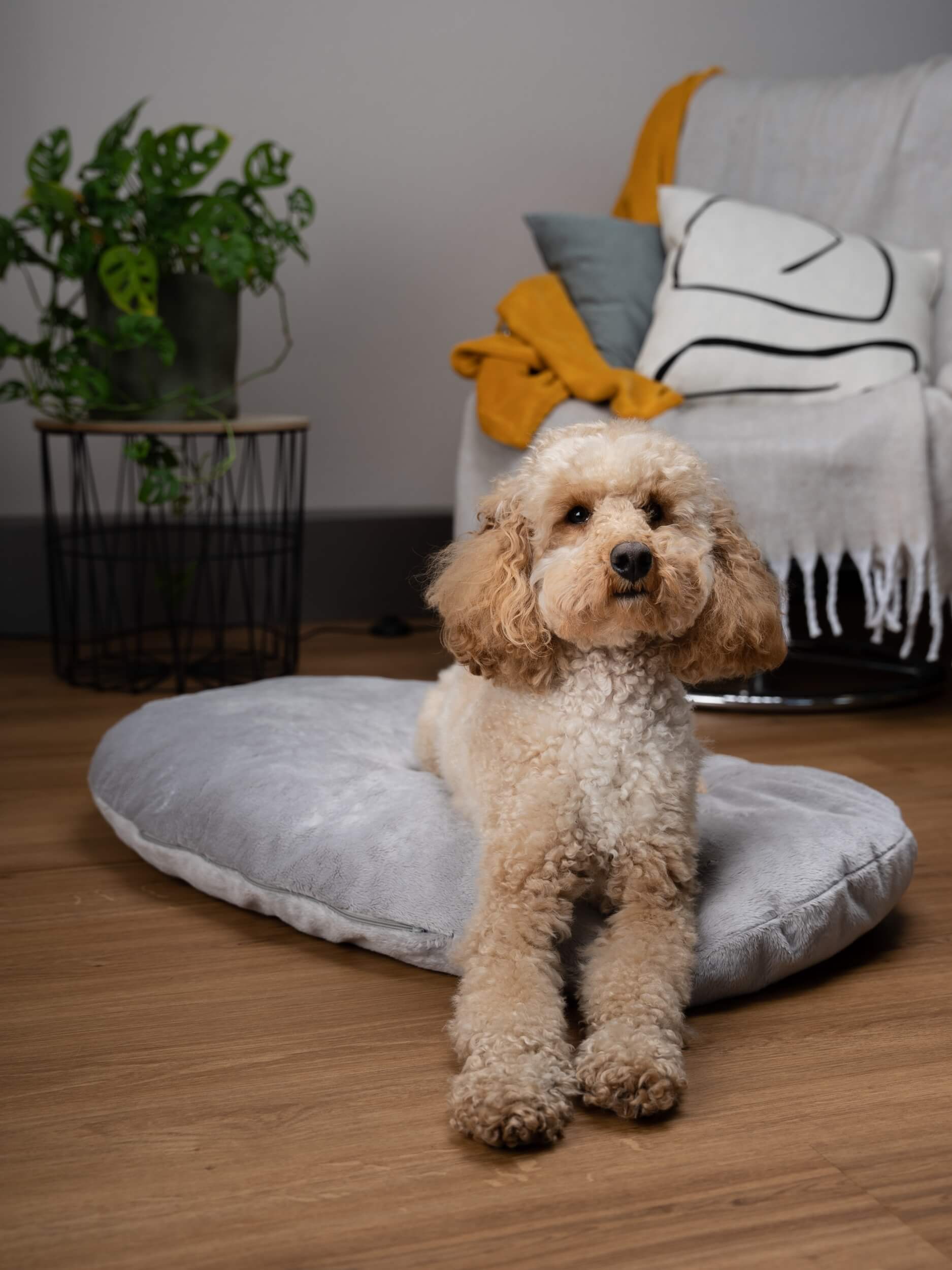 TrendPet Hundekissen TrendPet Emma Liegekissen grau S