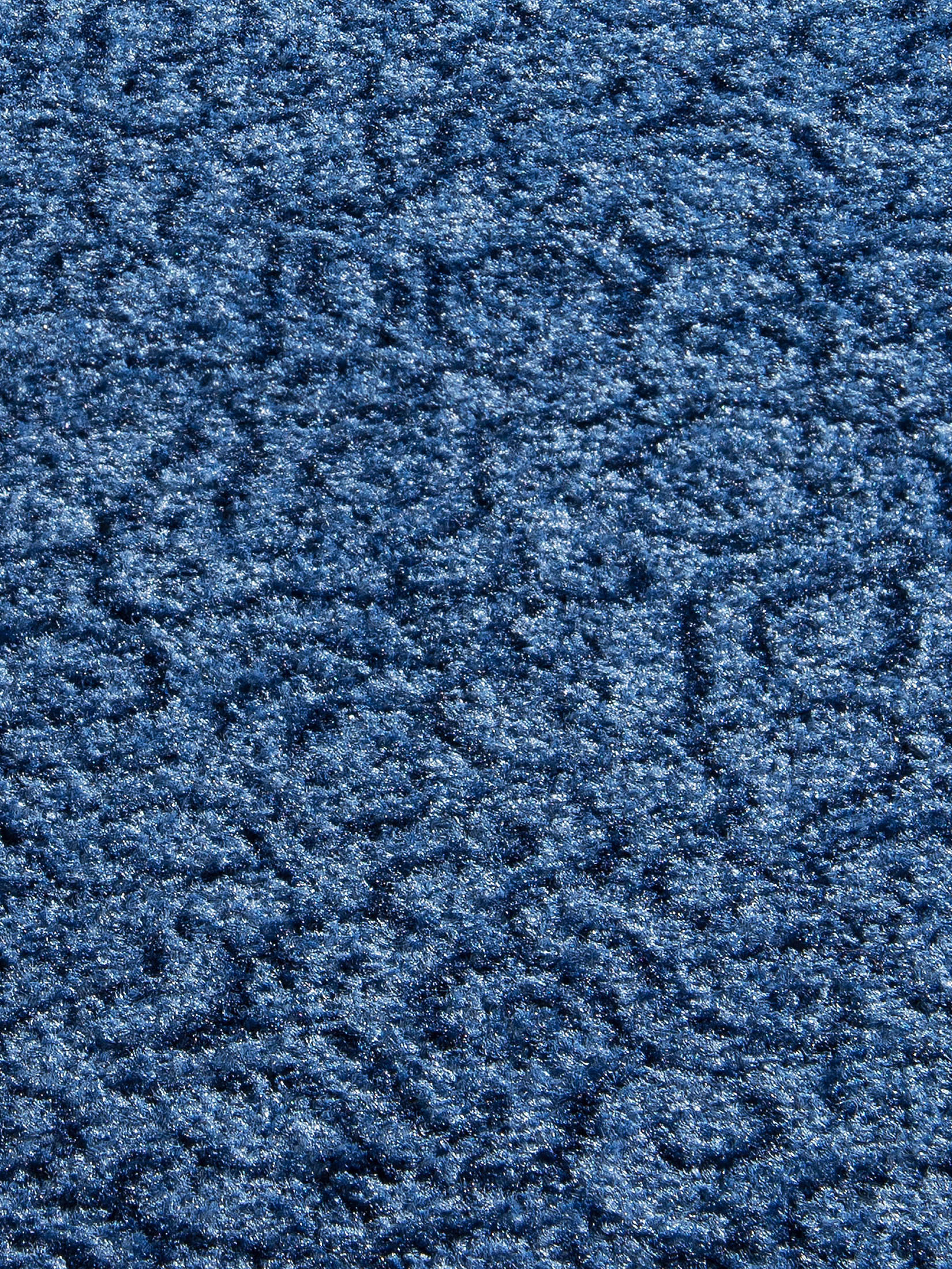 Aktiv Colour Sauberlaufmatte, Blau