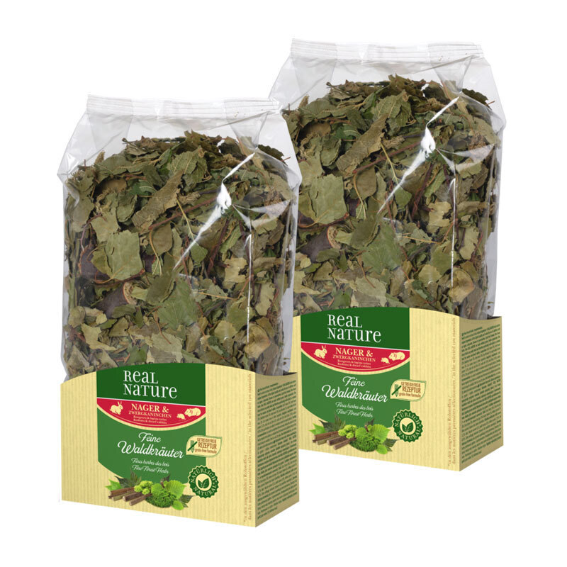 REAL NATURE Snacks REAL NATURE Kräuter 2x100g Feine Waldkräuter