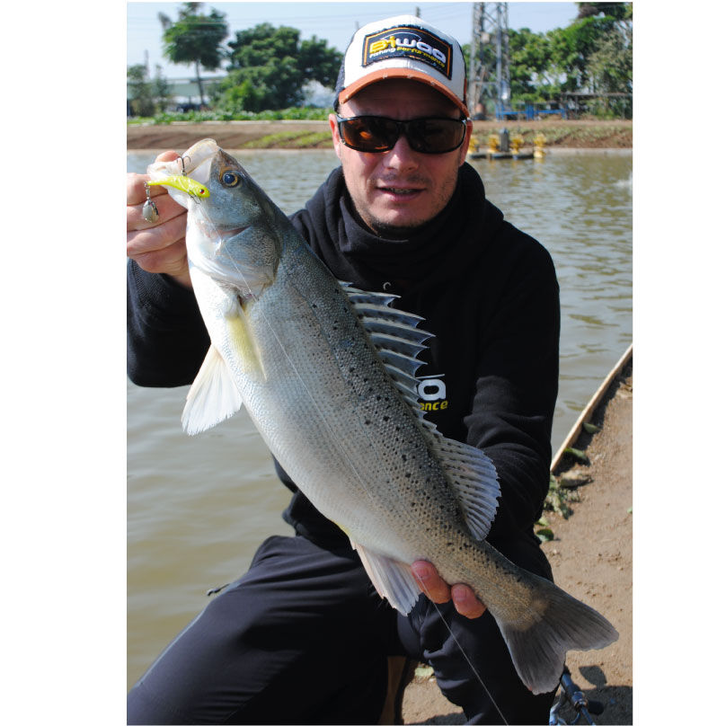 Shad Biwaa Divinatör Mini Pehmeä Viehe 9,5cm, 9g