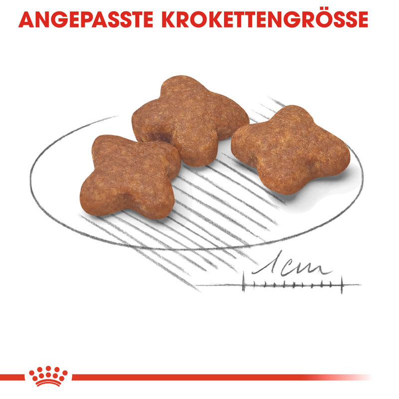 ROYAL CANIN Hundetrockenfutter ROYAL CANIN Mini Adult 8+ 4 kg