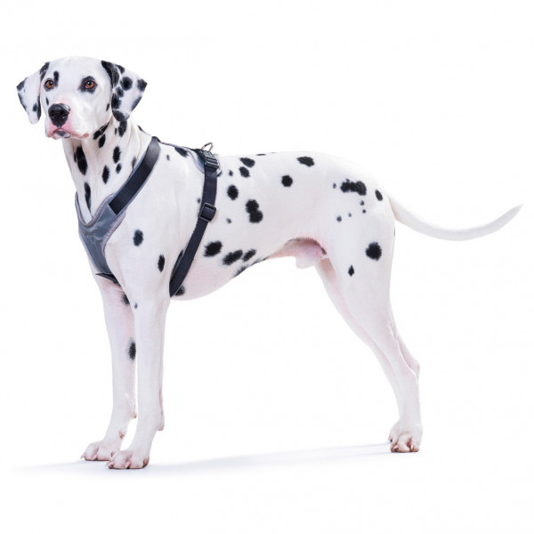 Hunter - Harness Neoprene - Hundegeschirr