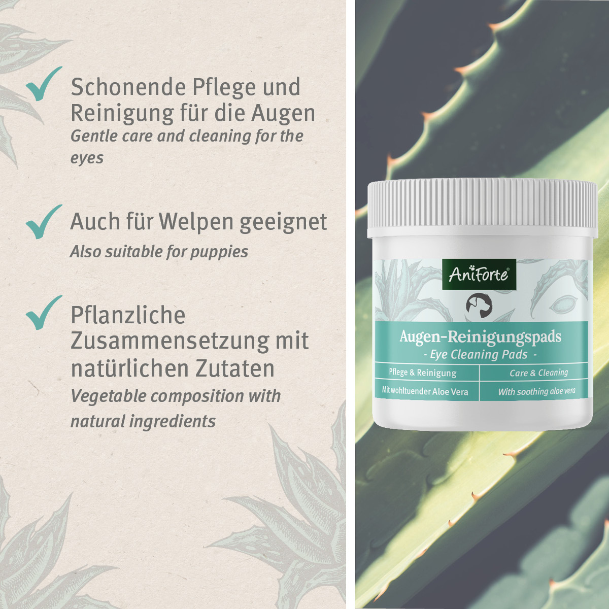 Aniforte Augen- & Ohrenpflege Aniforte Augen-Reinigungspads Augenpflege Pads 100 Stück