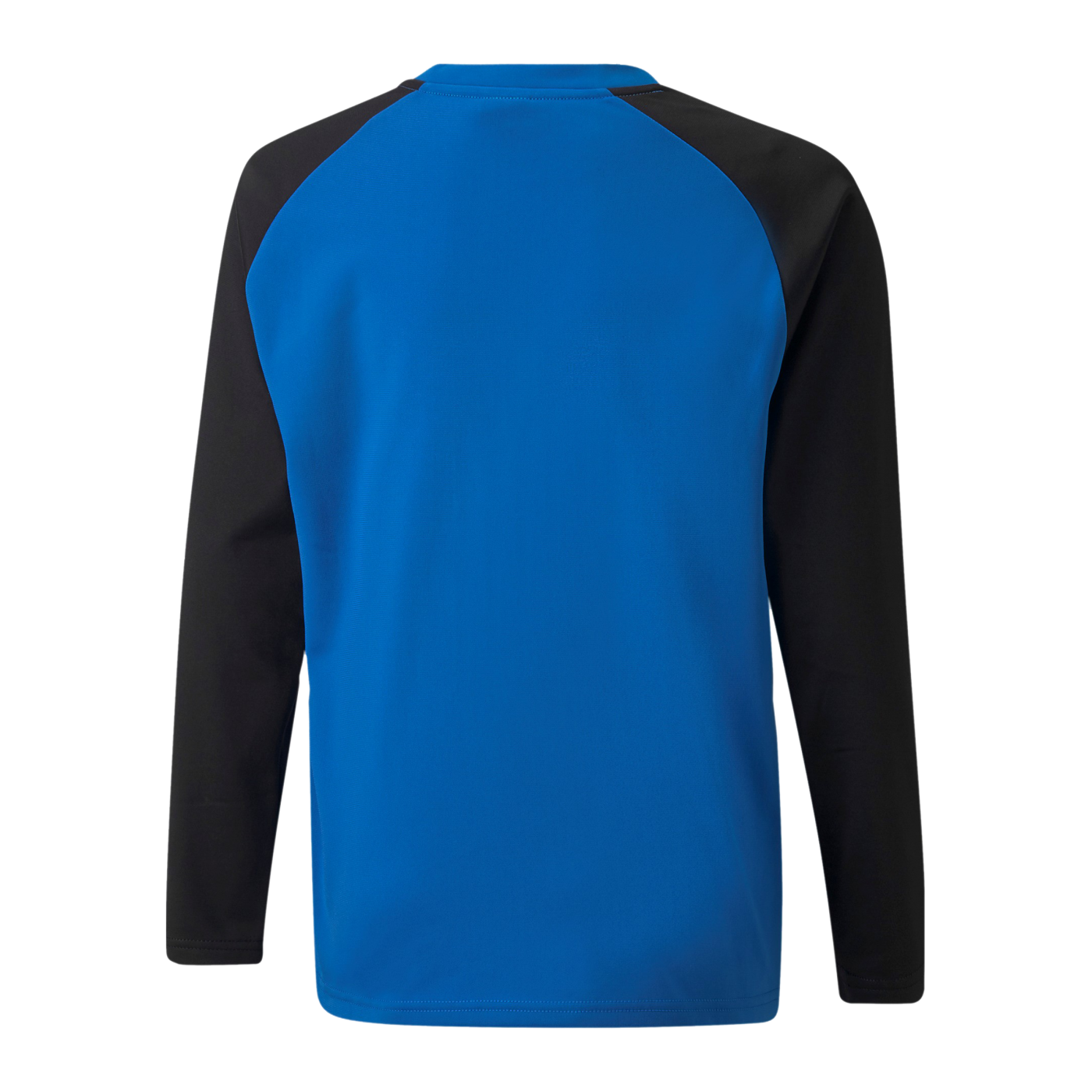 PUMA teamLIGA Sweatshirt Kids Blau F02
