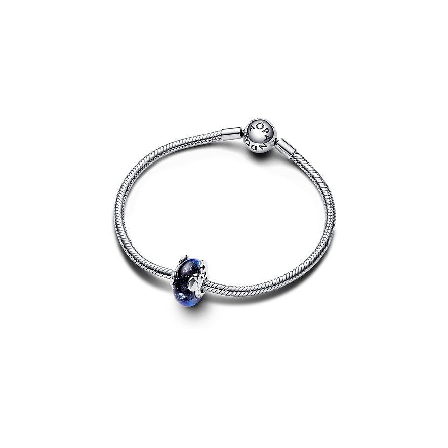 Pandora Charm x Pandora