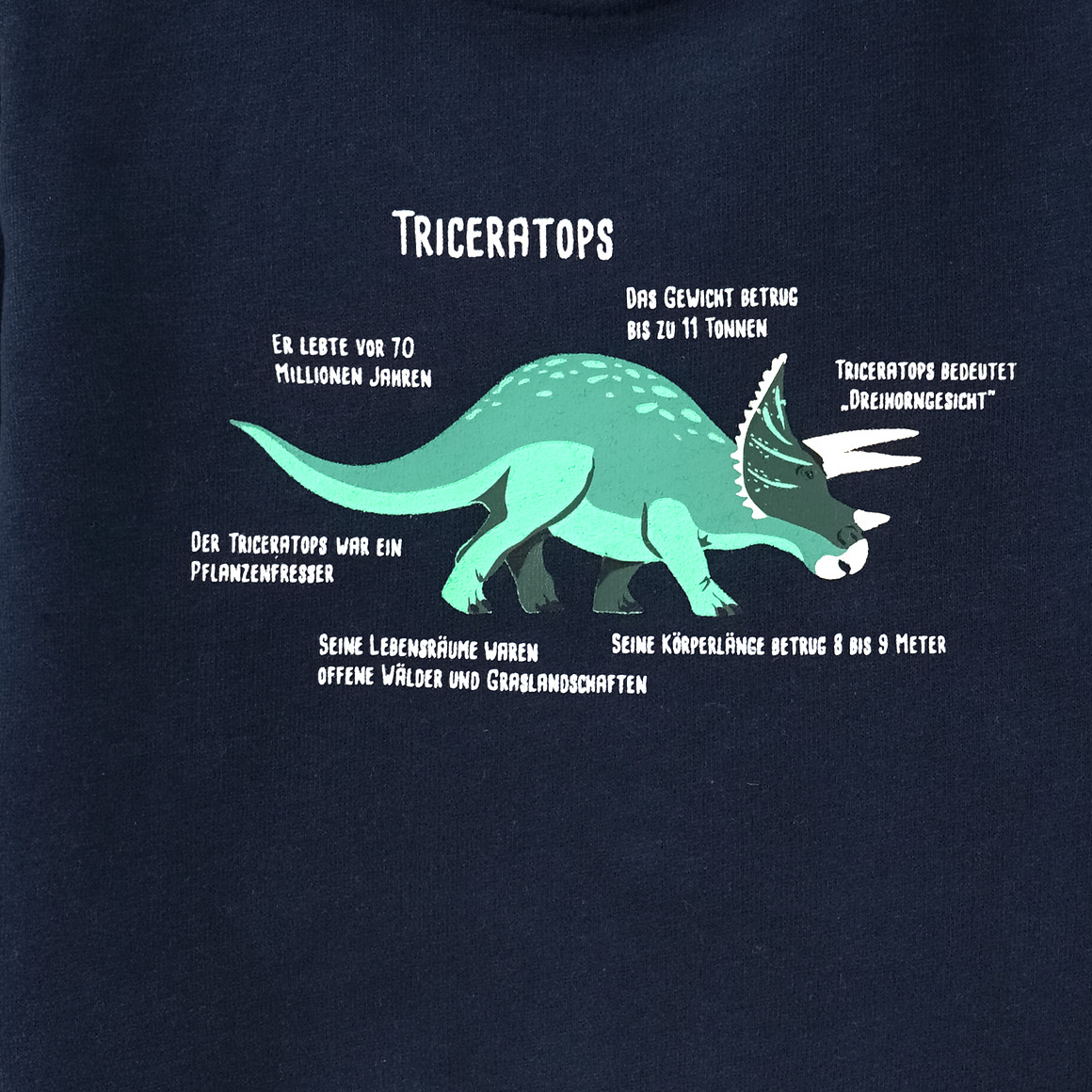Baby Sweatshirt mit Triceratops