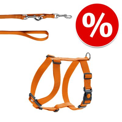 HUNTER Set: Geschirr London Vario Rapid + Führleine London, orange