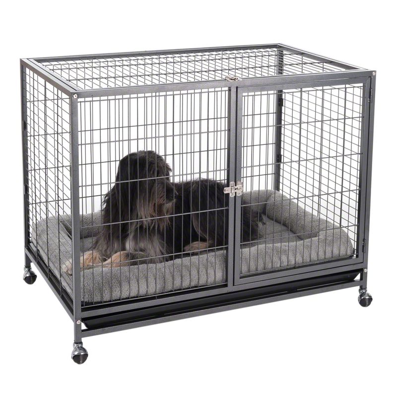 Zimmerkennel Tabby zu TOP-Preisen % | bitiba
