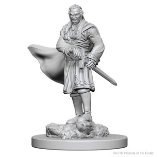 Vampires: D&D Nolzurs Marvelous Unpainted Minis