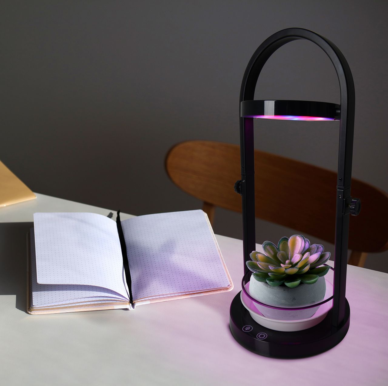 Näve Leuchten LED Pflanzen-Tischleuchte h:53,5cm