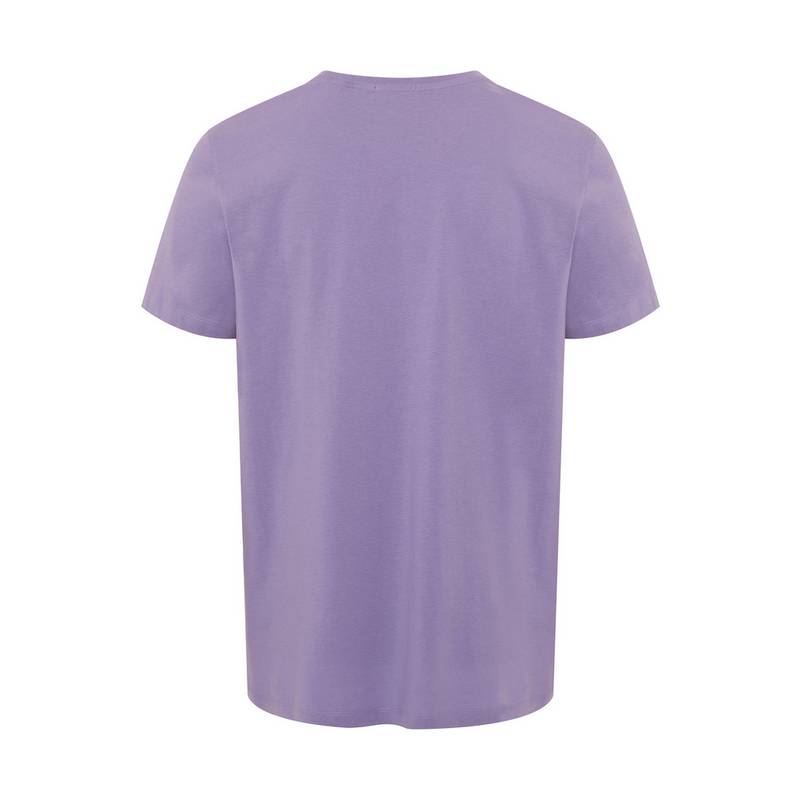 Chiemsee T-Shirt T-Shirt Herren