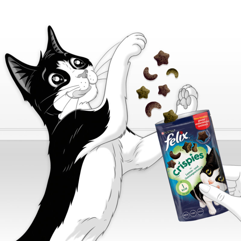 Felix Snacks Felix Crispies 8x45g Lamm & Gemüse