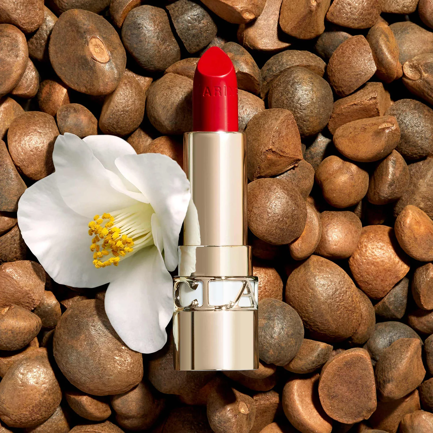Joli Rouge Satin Lips - Rossetto