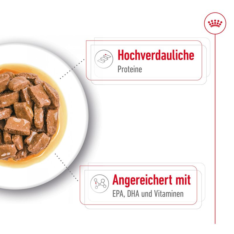 Royal Canin Maxi Ageing in Soße