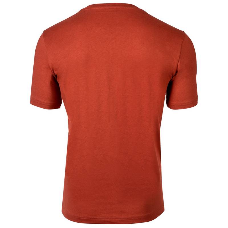 CHAMPION T-Shirt T-Shirt Herren