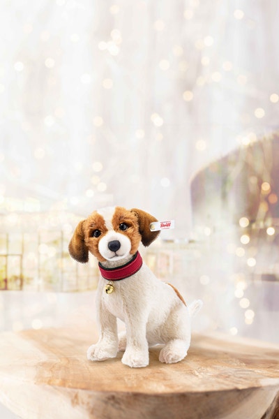 Matty Jack Russell Terrier, 25 cm, beige