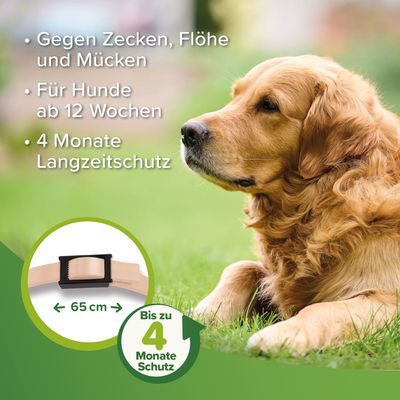beaphar Zecken- & Flohschutz-Halsband für Hunde, beige