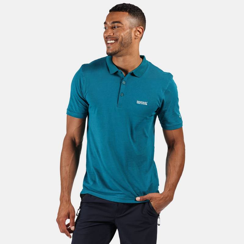 Regatta Sinton Poloshirt Herren