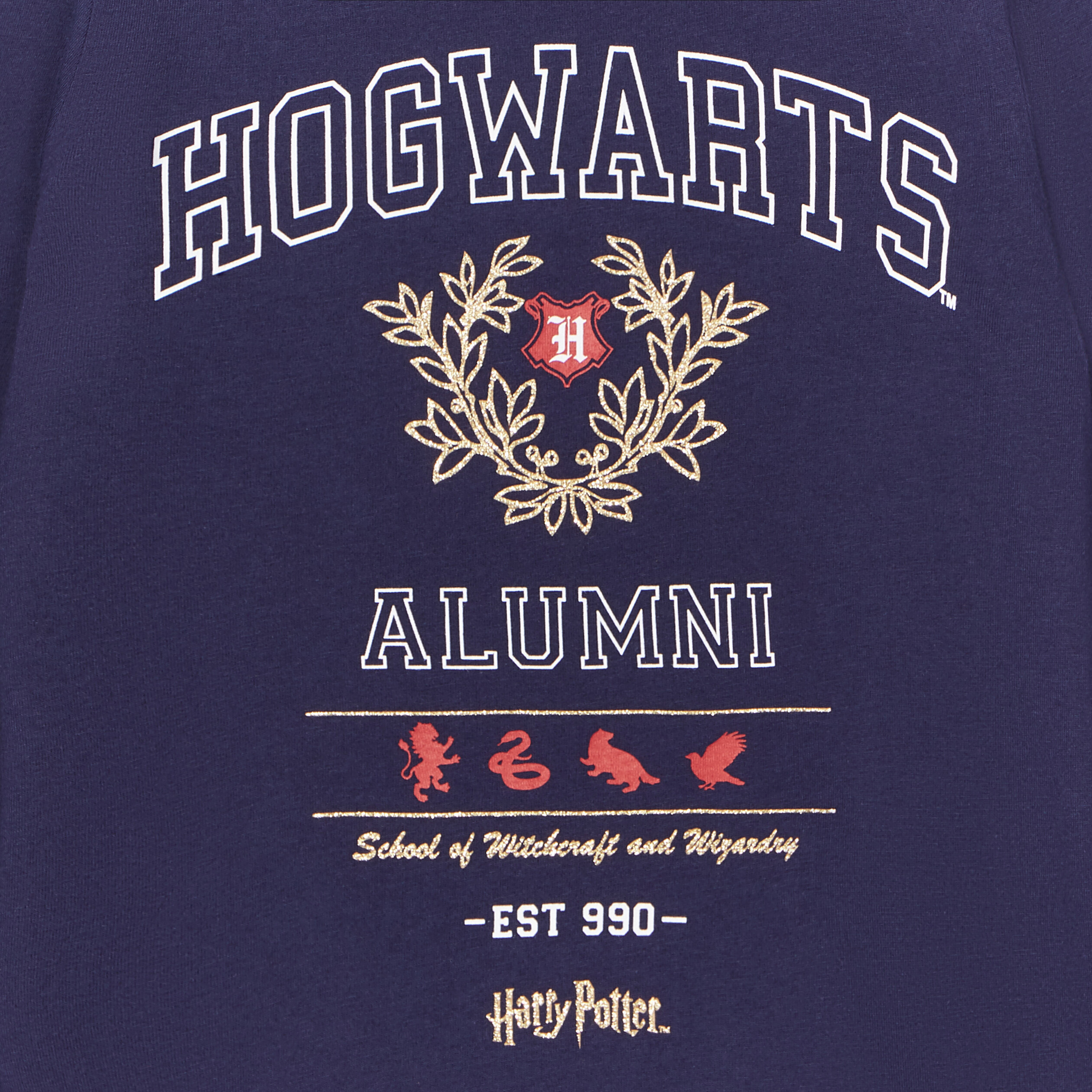 T-shirt col rond coton Harry Potter bleu marine fille | La Halle