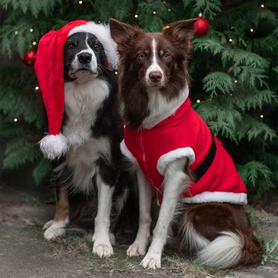 Trixie Hundemantel Santa