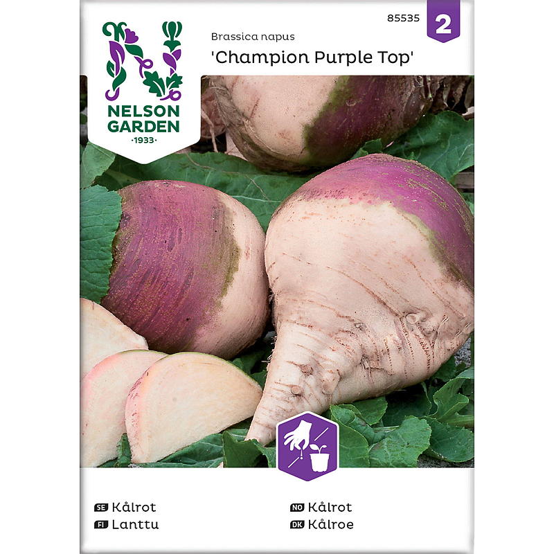 Nelson garden Frø Kålrot Champion Purple Top