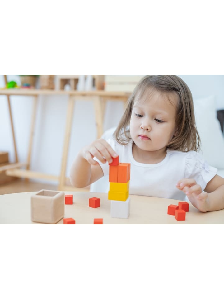 Plan Toys Essential Serie: Knobelwürfel ab 18 Monate günstig kaufen onesize