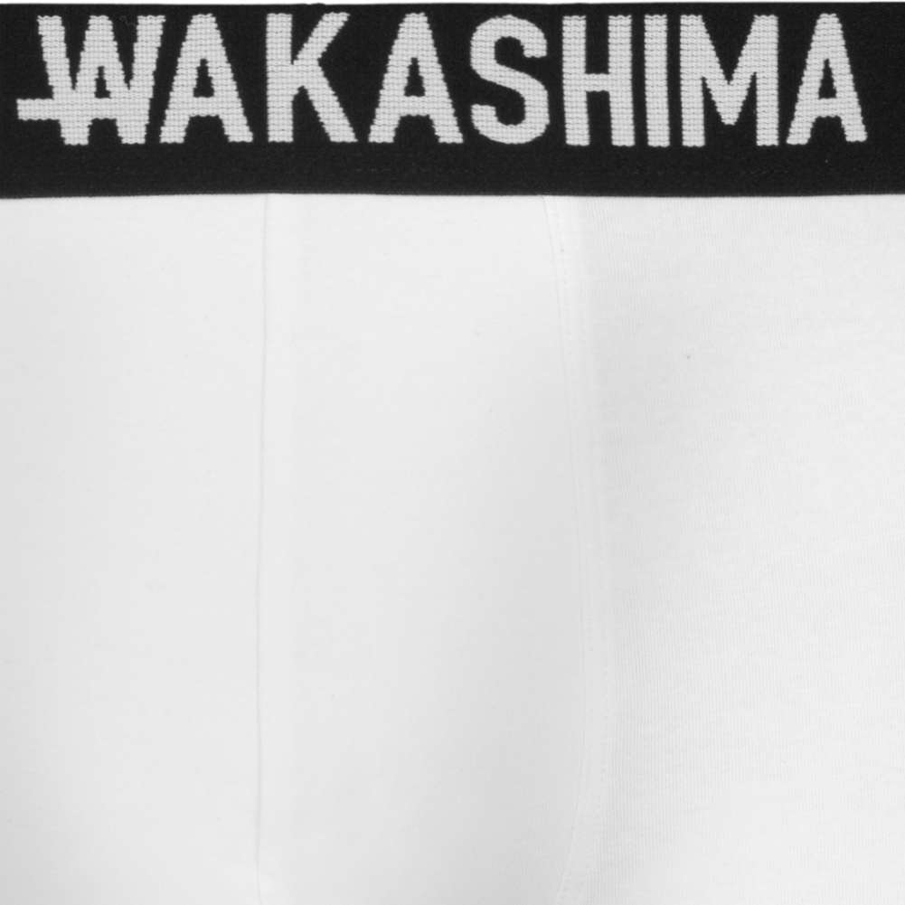 HIDETOSHI WAKASHIMA 