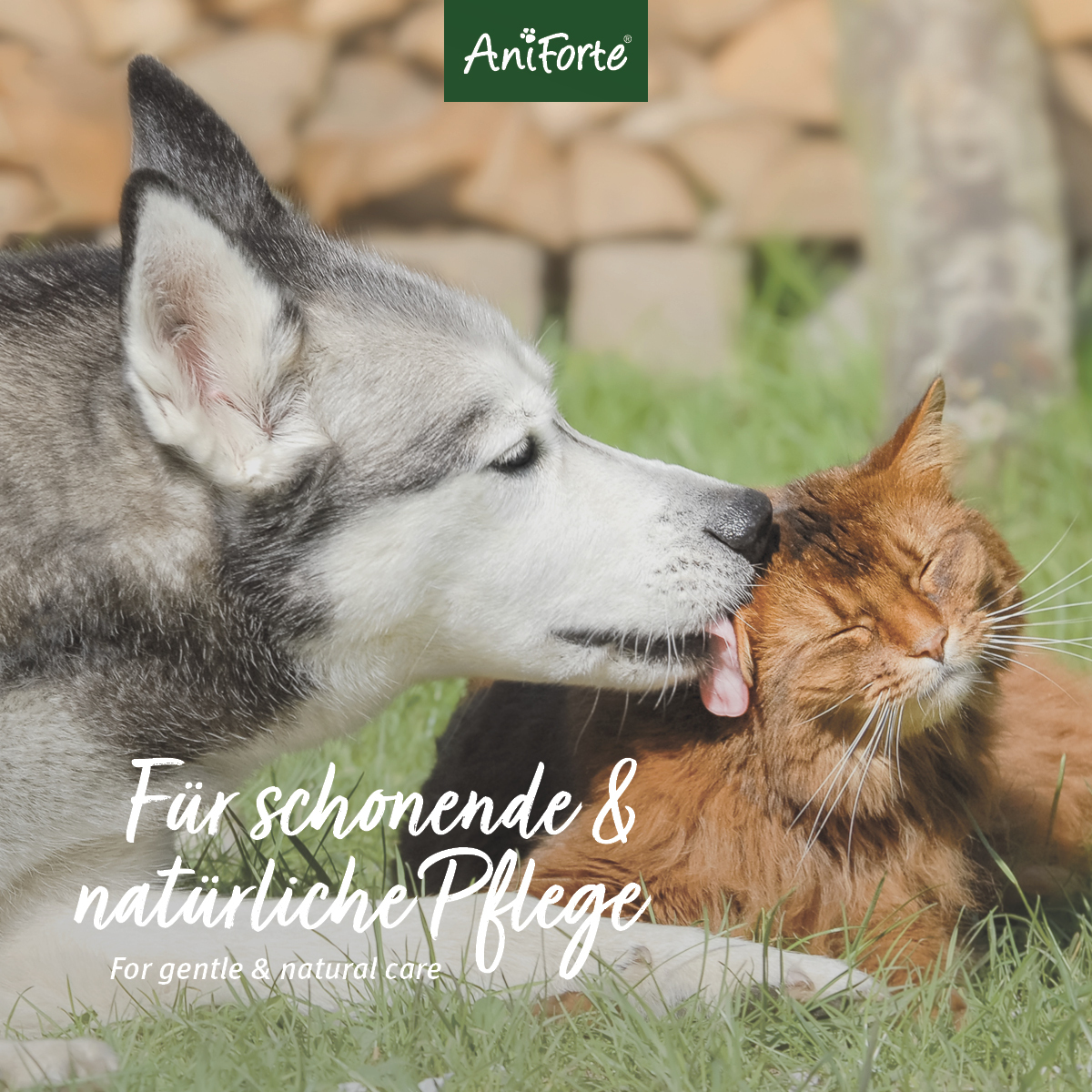 Aniforte Augen- & Ohrenpflege Aniforte VET Ohrenreiniger Kamille 250ml